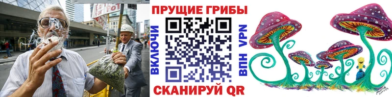 Псилоцибиновые грибы Psilocybe  цена наркотик  Новая Ляля 